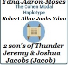 Robert Allan Jacobs Ydna Cohen match badge Ydna of Aaron and Moses 7% mid-eastern Turkey 22% Jewish and this with spittal not blood.